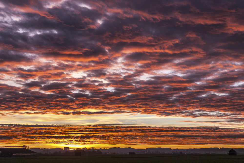 Platz 6 Juergen Feldmann